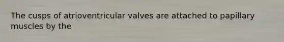 The cusps of atrioventricular valves are attached to papillary muscles by the