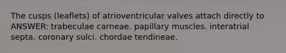 The cusps (leaflets) of atrioventricular valves attach directly to ANSWER: trabeculae carneae. papillary muscles. interatrial septa. coronary sulci. chordae tendineae.