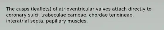 The cusps (leaflets) of atrioventricular valves attach directly to coronary sulci. trabeculae carneae. chordae tendineae. interatrial septa. papillary muscles.