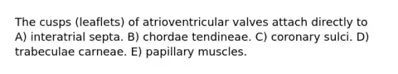 The cusps (leaflets) of atrioventricular valves attach directly to A) interatrial septa. B) chordae tendineae. C) coronary sulci. D) trabeculae carneae. E) papillary muscles.