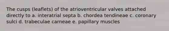 The cusps (leaflets) of the atrioventricular valves attached directly to a. interatrial septa b. chordea tendineae c. coronary sulci d. trabeculae carneae e. papillary muscles