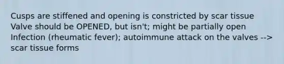 Cusps are stiffened and opening is constricted by scar tissue Valve should be OPENED, but isn't; might be partially open Infection (rheumatic fever); autoimmune attack on the valves --> scar tissue forms