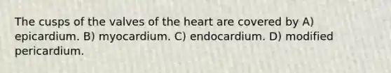 The cusps of the valves of the heart are covered by A) epicardium. B) myocardium. C) endocardium. D) modified pericardium.