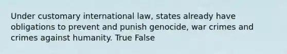 Under customary international law, states already have obligations to prevent and punish genocide, war crimes and crimes against humanity. True False