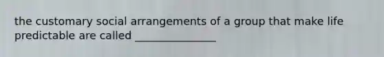 the customary social arrangements of a group that make life predictable are called _______________