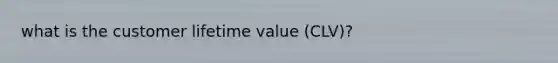 what is the customer lifetime value (CLV)?