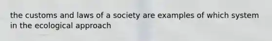 the customs and laws of a society are examples of which system in the ecological approach