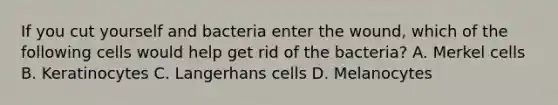 If you cut yourself and bacteria enter the wound, which of the following cells would help get rid of the bacteria? A. Merkel cells B. Keratinocytes C. Langerhans cells D. Melanocytes