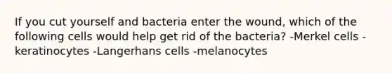 If you cut yourself and bacteria enter the wound, which of the following cells would help get rid of the bacteria? -Merkel cells -keratinocytes -Langerhans cells -melanocytes