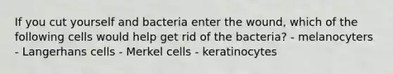 If you cut yourself and bacteria enter the wound, which of the following cells would help get rid of the bacteria? - melanocyters - Langerhans cells - Merkel cells - keratinocytes