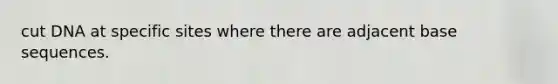 cut DNA at specific sites where there are adjacent base sequences.