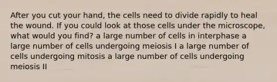 After you cut your hand, the cells need to divide rapidly to heal the wound. If you could look at those cells under the microscope, what would you find? a large number of cells in interphase a large number of cells undergoing meiosis I a large number of cells undergoing mitosis a large number of cells undergoing meiosis II