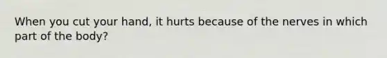 When you cut your hand, it hurts because of the nerves in which part of the body?