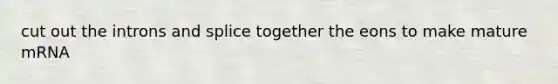 cut out the introns and splice together the eons to make mature mRNA