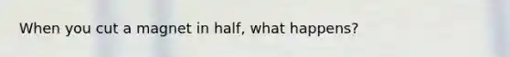 When you cut a magnet in half, what happens?