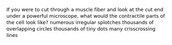 If you were to cut through a muscle fiber and look at the cut end under a powerful microscope, what would the contractile parts of the cell look like? numerous irregular splotches thousands of overlapping circles thousands of tiny dots many crisscrossing lines