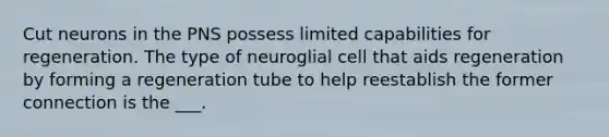 Cut neurons in the PNS possess limited capabilities for regeneration. The type of neuroglial cell that aids regeneration by forming a regeneration tube to help reestablish the former connection is the ___.