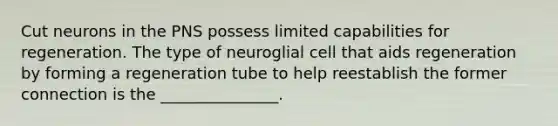 Cut neurons in the PNS possess limited capabilities for regeneration. The type of neuroglial cell that aids regeneration by forming a regeneration tube to help reestablish the former connection is the _______________.