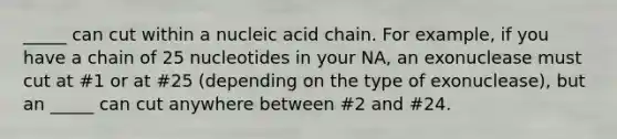 _____ can cut within a nucleic acid chain. For example, if you have a chain of 25 nucleotides in your NA, an exonuclease must cut at #1 or at #25 (depending on the type of exonuclease), but an _____ can cut anywhere between #2 and #24.