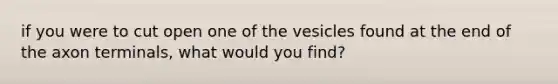 if you were to cut open one of the vesicles found at the end of the axon terminals, what would you find?