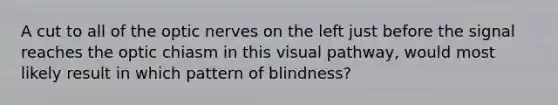 A cut to all of the optic nerves on the left just before the signal reaches the optic chiasm in this visual pathway, would most likely result in which pattern of blindness?