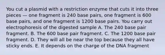 You cut a plasmid with a restriction enzyme that cuts it into three pieces — one fragment is 240 base pairs, one fragment is 600 base pairs, and one fragment is 1200 base pairs. You carry out electrophoresis of the digested sample A. The 240 base pair fragment. B. The 600 base pair fragment. C. The 1200 base pair fragment. D. They will all be near the top because they all have sticky ends. E. It depends on the charge of the DNA fragment