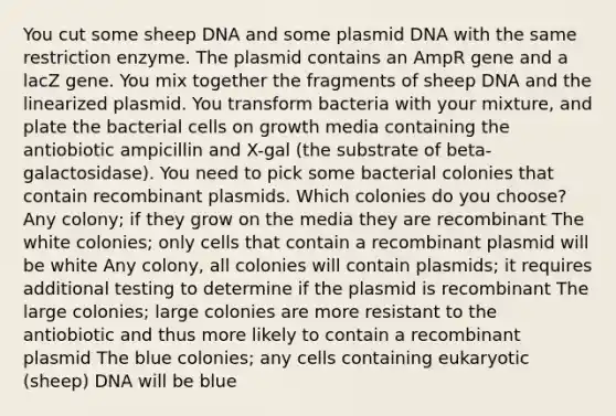 You cut some sheep DNA and some plasmid DNA with the same restriction enzyme. The plasmid contains an AmpR gene and a lacZ gene. You mix together the fragments of sheep DNA and the linearized plasmid. You transform bacteria with your mixture, and plate the bacterial cells on growth media containing the antiobiotic ampicillin and X-gal (the substrate of beta-galactosidase). You need to pick some bacterial colonies that contain recombinant plasmids. Which colonies do you choose? Any colony; if they grow on the media they are recombinant The white colonies; only cells that contain a recombinant plasmid will be white Any colony, all colonies will contain plasmids; it requires additional testing to determine if the plasmid is recombinant The large colonies; large colonies are more resistant to the antiobiotic and thus more likely to contain a recombinant plasmid The blue colonies; any cells containing eukaryotic (sheep) DNA will be blue