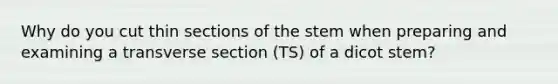 Why do you cut thin sections of the stem when preparing and examining a transverse section (TS) of a dicot stem?