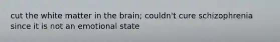 cut the white matter in the brain; couldn't cure schizophrenia since it is not an emotional state