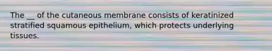 The __ of the cutaneous membrane consists of keratinized stratified squamous epithelium, which protects underlying tissues.