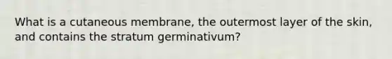 What is a cutaneous membrane, the outermost layer of the skin, and contains the stratum germinativum?