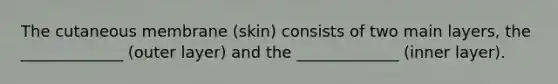 The cutaneous membrane (skin) consists of two main layers, the _____________ (outer layer) and the _____________ (inner layer).