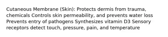 Cutaneous Membrane (Skin): Protects dermis from trauma, chemicals Controls skin permeability, and prevents water loss Prevents entry of pathogens Synthesizes vitamin D3 <a href='https://www.questionai.com/knowledge/kZxhe8RZQ3-sensory-receptors' class='anchor-knowledge'>sensory receptors</a> detect touch, pressure, pain, and temperature