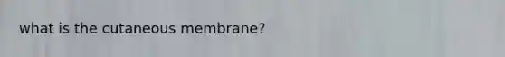 what is the cutaneous membrane?