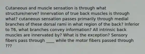 Cutaneous and muscle sensation is through what structure/nerve? Innervation of true back muscles is through what? cutaneous sensation passes primarily through medial branches of these dorsal rami in what region of the back? Inferior to T6, what branches convey information? All intrinsic back muscles are innervated by? What is the exception? Sensory fibers pass through ____ while the motor fibers passed through ???