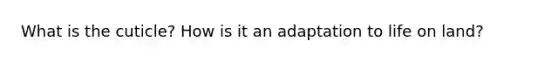 What is the cuticle? How is it an adaptation to life on land?