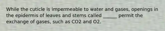 While the cuticle is impermeable to water and gases, openings in the epidermis of leaves and stems called ______ permit the exchange of gases, such as CO2 and O2.