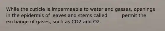 While the cuticle is impermeable to water and gasses, openings in the epidermis of leaves and stems called _____ permit the exchange of gases, such as CO2 and O2.