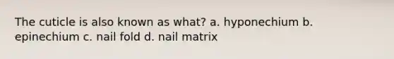 The cuticle is also known as what? a. hyponechium b. epinechium c. nail fold d. nail matrix