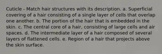 Cuticle - Match hair structures with its description. a. Superficial covering of a hair consisting of a single layer of cells that overlap one another. b. The portion of the hair that is embedded in the skin. c. The central core of a hair, consisting of large cells and air spaces. d. The intermediate layer of a hair composed of several layers of flattened cells. e. Region of a hair that projects above the skin surface.