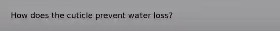 How does the cuticle prevent water loss?