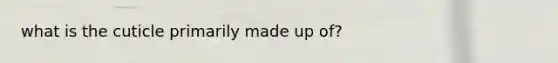 what is the cuticle primarily made up of?