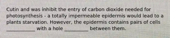 Cutin and was inhibit the entry of carbon dioxide needed for photosynthesis - a totally impermeable epidermis would lead to a plants starvation. However, <a href='https://www.questionai.com/knowledge/kBFgQMpq6s-the-epidermis' class='anchor-knowledge'>the epidermis</a> contains pairs of cells ____________ with a hole __________ between them.