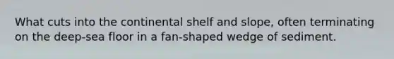 What cuts into the continental shelf and slope, often terminating on the deep-sea floor in a fan-shaped wedge of sediment.