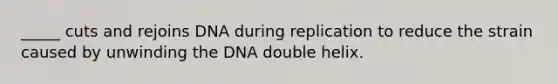 _____ cuts and rejoins DNA during replication to reduce the strain caused by unwinding the DNA double helix.