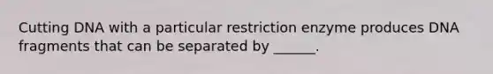 Cutting DNA with a particular restriction enzyme produces DNA fragments that can be separated by ______.