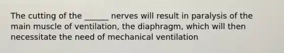 The cutting of the ______ nerves will result in paralysis of the main muscle of ventilation, the diaphragm, which will then necessitate the need of mechanical ventilation