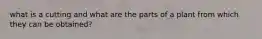 what is a cutting and what are the parts of a plant from which they can be obtained?