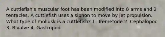 A cuttlefish's muscular foot has been modified into 8 arms and 2 tentacles. A cuttlefish uses a siphon to move by jet propulsion. What type of mollusk is a cuttlefish? 1. Tremetode 2. Cephalopod 3. Bivalve 4. Gastropod