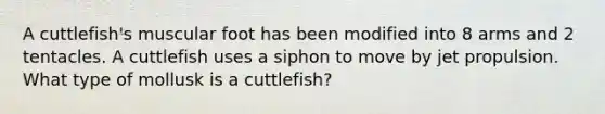 A cuttlefish's muscular foot has been modified into 8 arms and 2 tentacles. A cuttlefish uses a siphon to move by jet propulsion. What type of mollusk is a cuttlefish?